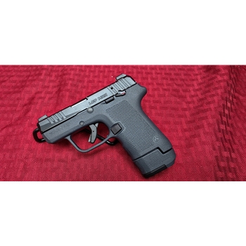 Ruger LCP MAX Magpul Gray EHG 380acp